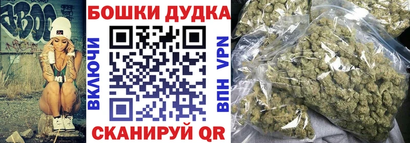 Каннабис план  где продают наркотики  Шилка 